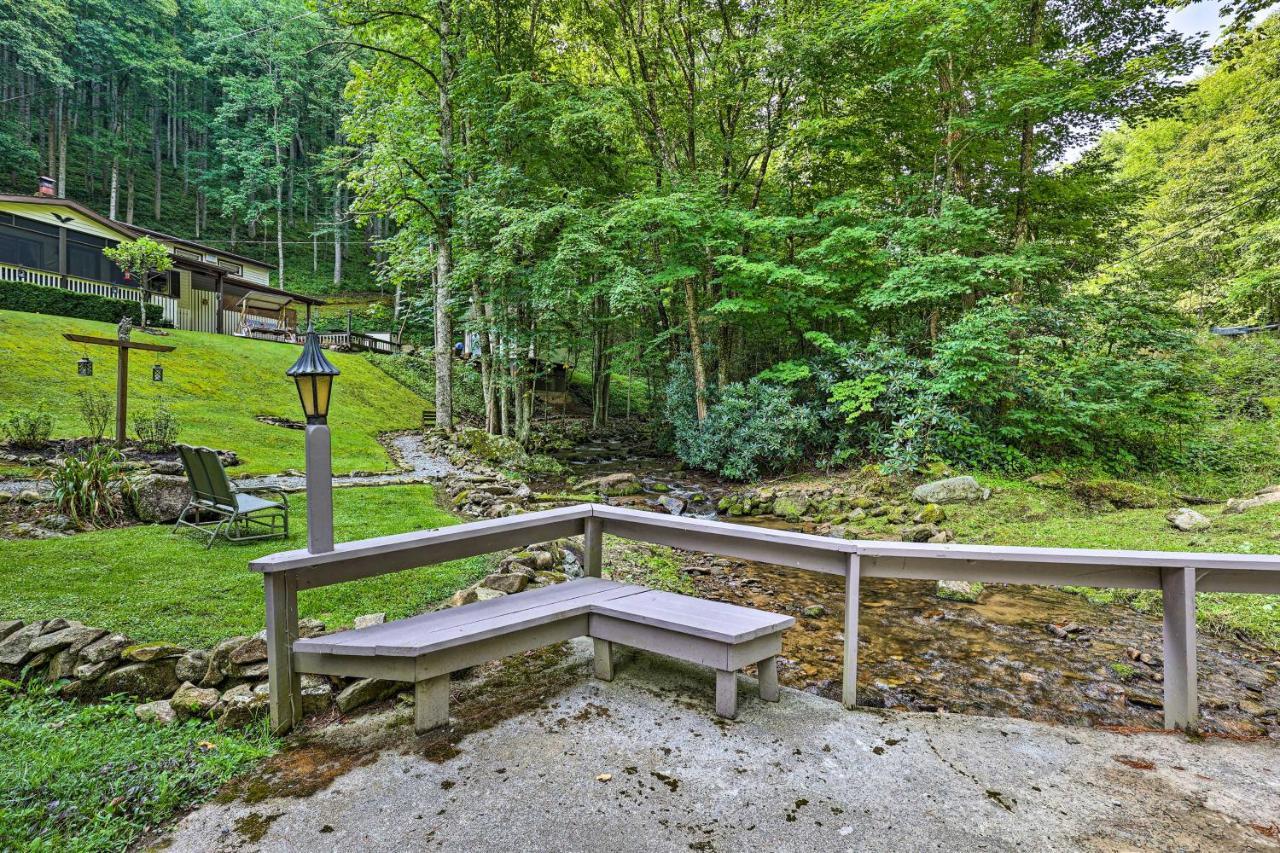 Roan Mountain Creekside Cabin Hike And Fish! מראה חיצוני תמונה