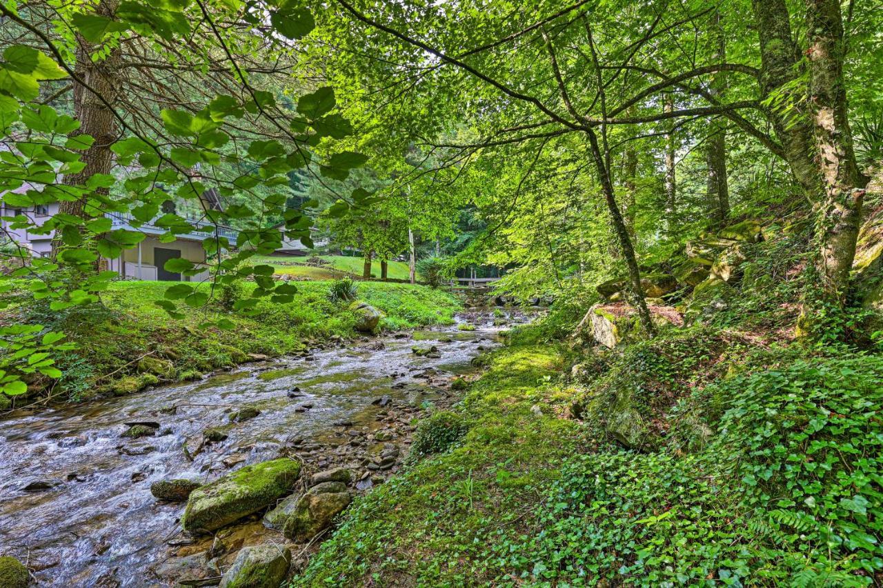 Roan Mountain Creekside Cabin Hike And Fish! מראה חיצוני תמונה