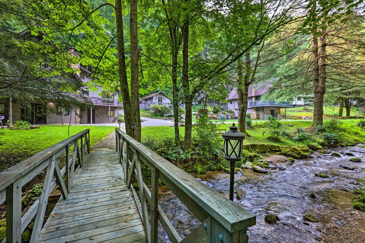 Roan Mountain Creekside Cabin Hike And Fish! מראה חיצוני תמונה
