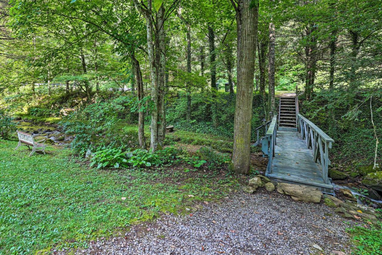 Roan Mountain Creekside Cabin Hike And Fish! מראה חיצוני תמונה